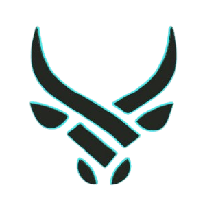 BullsTech Solutions
